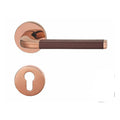 SPEICK  Leather door lock