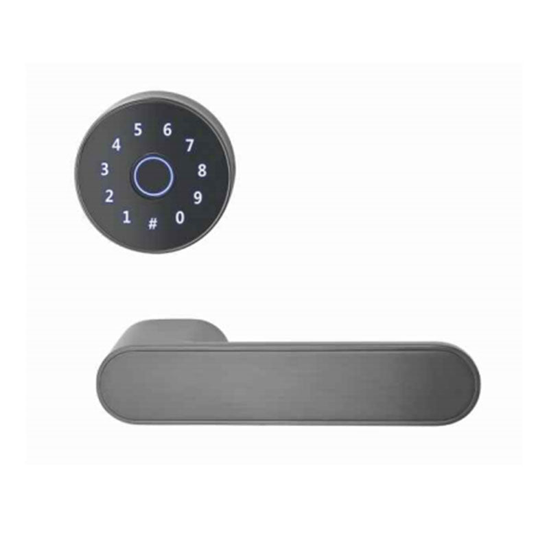 SPEICK  split intelligent electronic lock